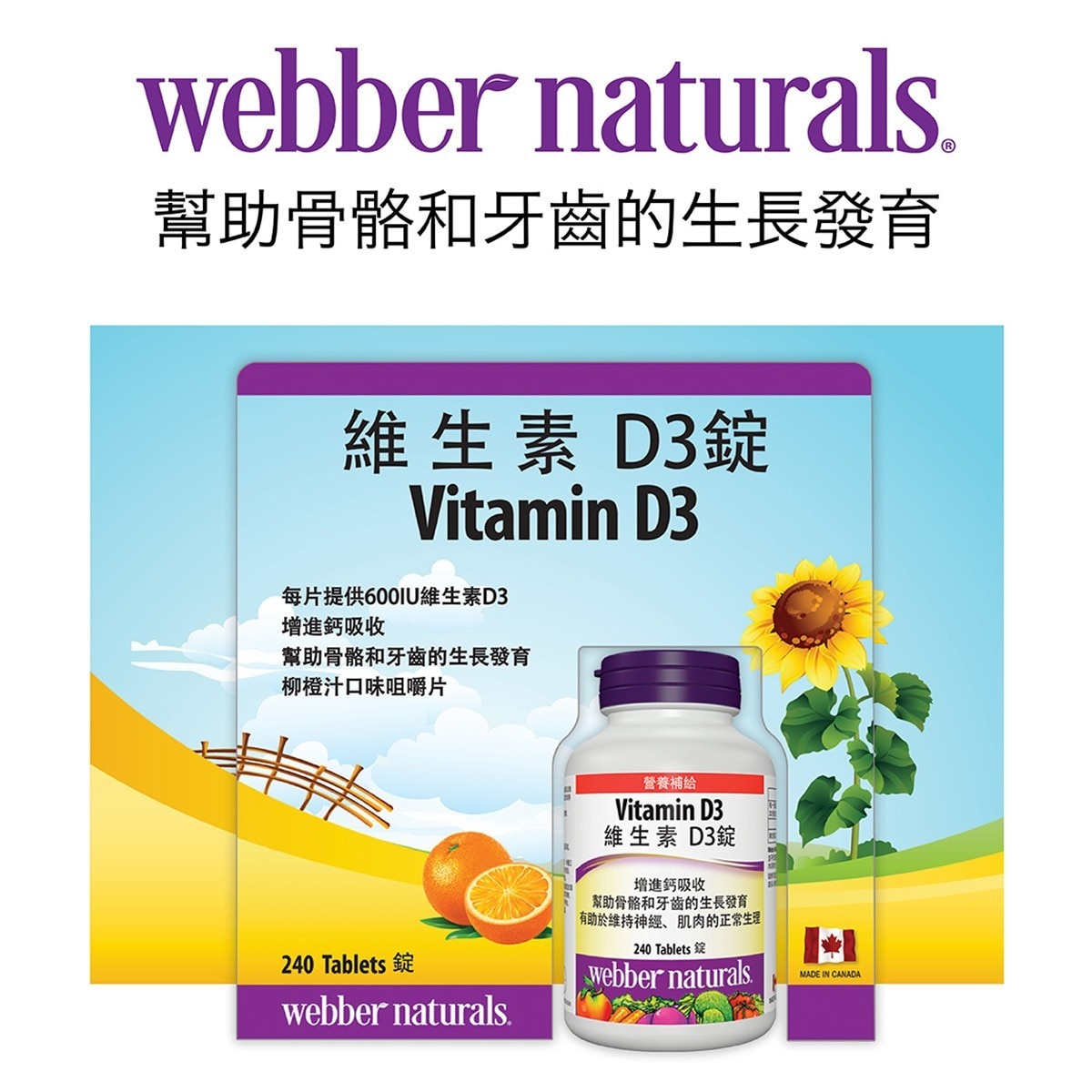 ber Naturals 維生素 D3錠 240錠 Costco 好市多線上購物