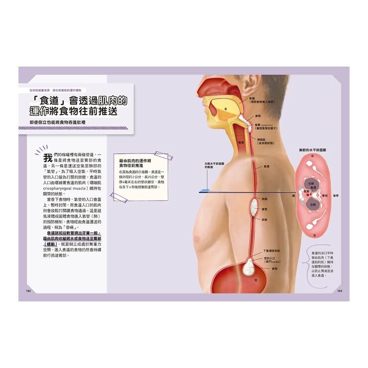 Galileo 新觀念伽利略(7-12) 套書：化學、週期表、光與色的科學、單位與定律、人體、手機腦與運動腦(共6冊)