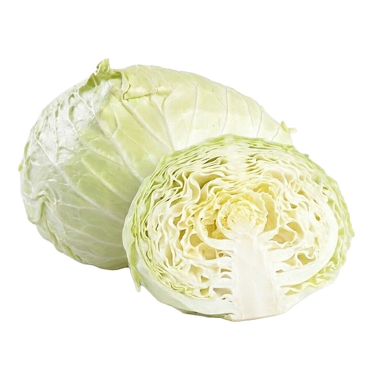 有機高麗菜 2.4公斤 / 2入