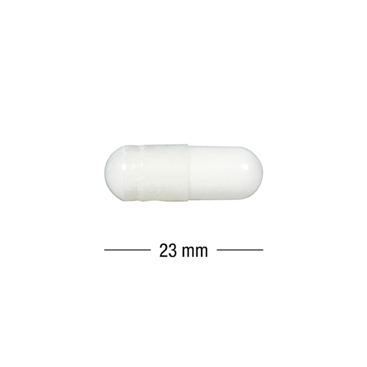 Webber Naturals 甘胺酸鎂膠囊 300粒