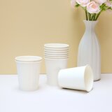 空白紙杯 205毫升 X 400入