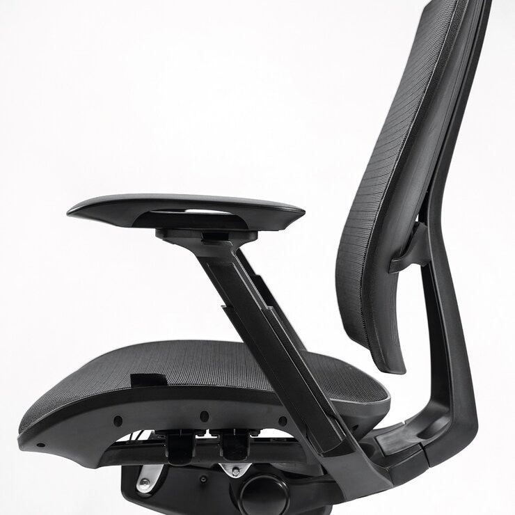 Backbone Whale 抹香鯨座人體工學旗艦椅 海洋友善款