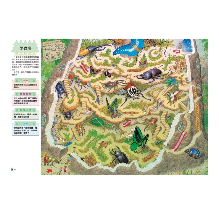 知識大迷宮：自然界大探索套書（共３冊）：昆蟲迷宮＋動物迷宮＋水世界迷宮