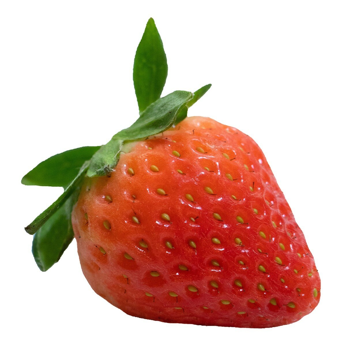 空運韓國溫室草莓 500公克