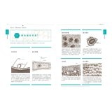 芳療實證全書：從分子到精油、從科學到身心靈，成為專業芳療師的必備聖經【暢銷10週年紀念版】