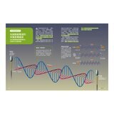 少年Galileo觀念物理1套書:3小時讀物理、物理 力學篇、定律、單位(共4冊) 少年Galileo觀念物理1套書:3小時讀物理、物理 力學篇、定律、單位(共4冊)