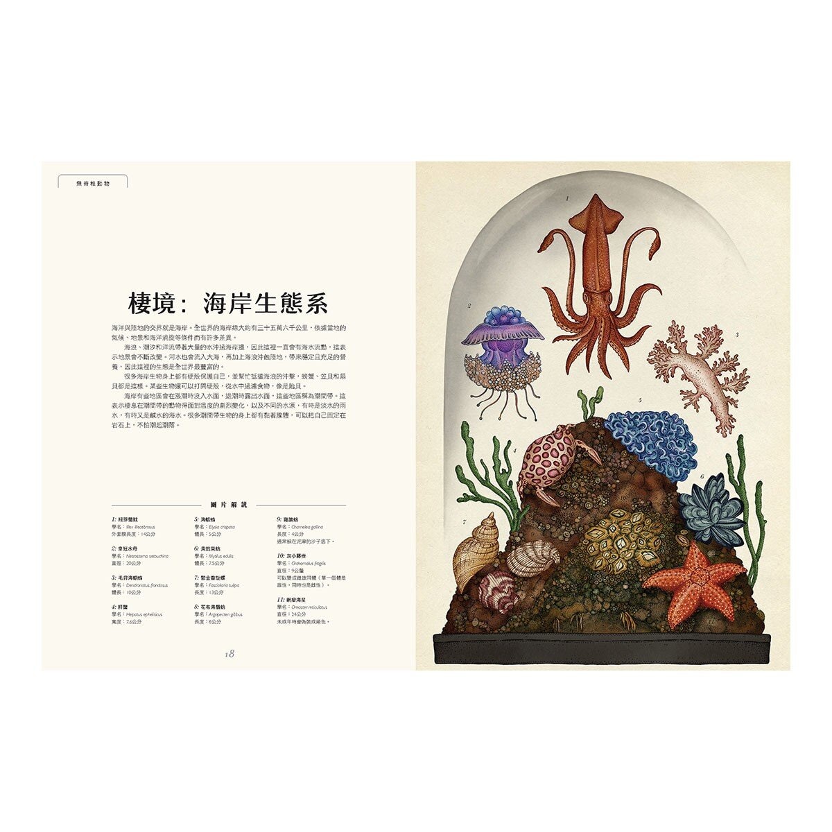 動物博物館