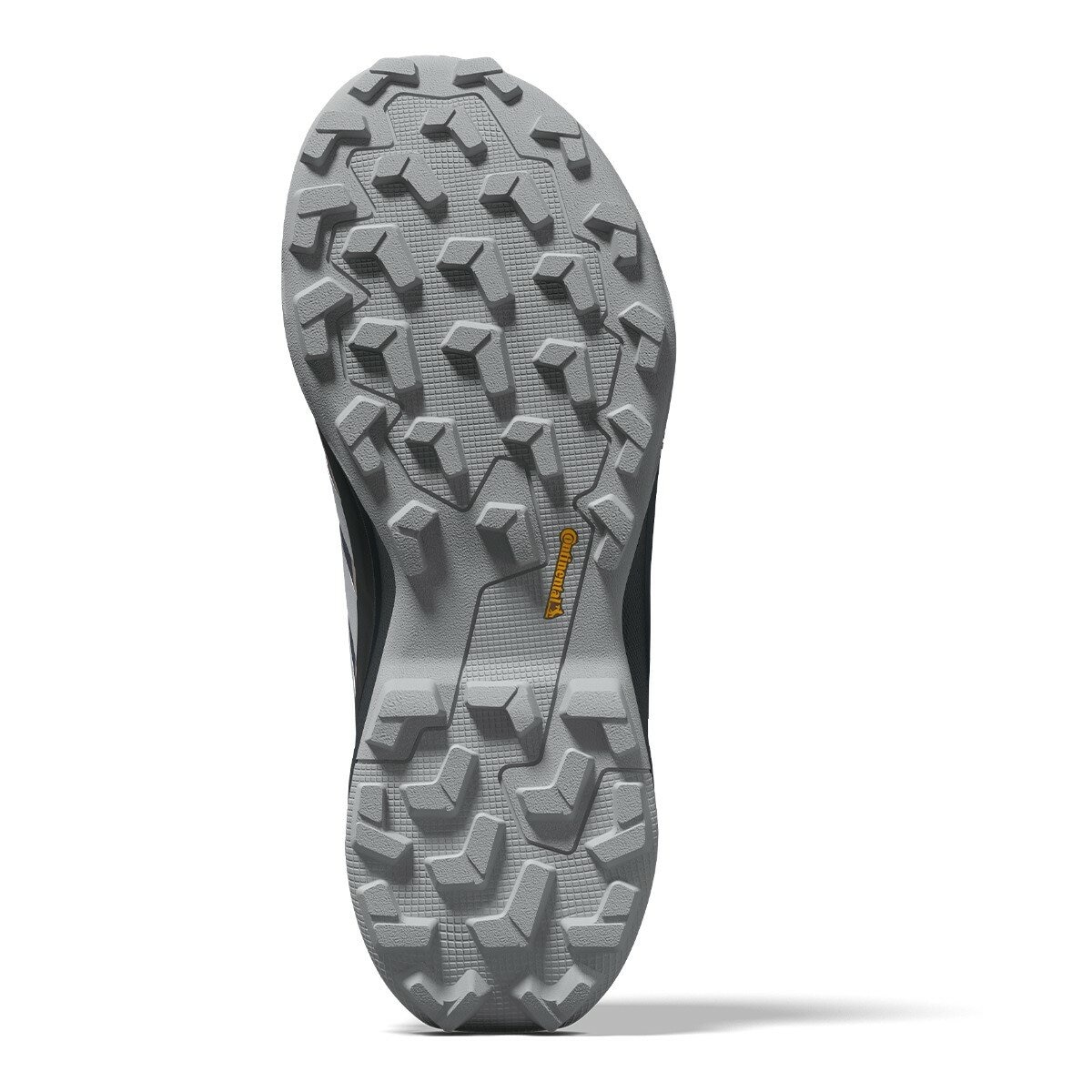 Adidas GTX AX5 女戶外運動鞋 藍