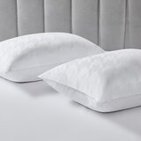 Downlite 科技彈性纖維舒適枕 2入 50公分 X 71公分