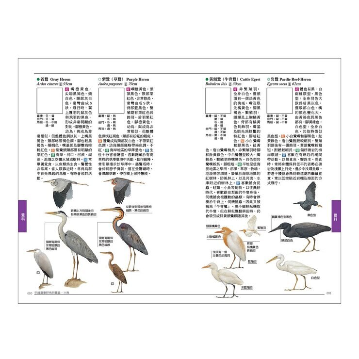 手繪臺灣野鳥新圖鑑（共２冊）：水鳥＋陸鳥