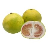 西施柚 1.8公斤/2入