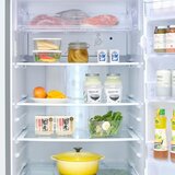 夏普 480公升 經典喚鮮變頻雙門冰箱 SJ-NP48B-SL