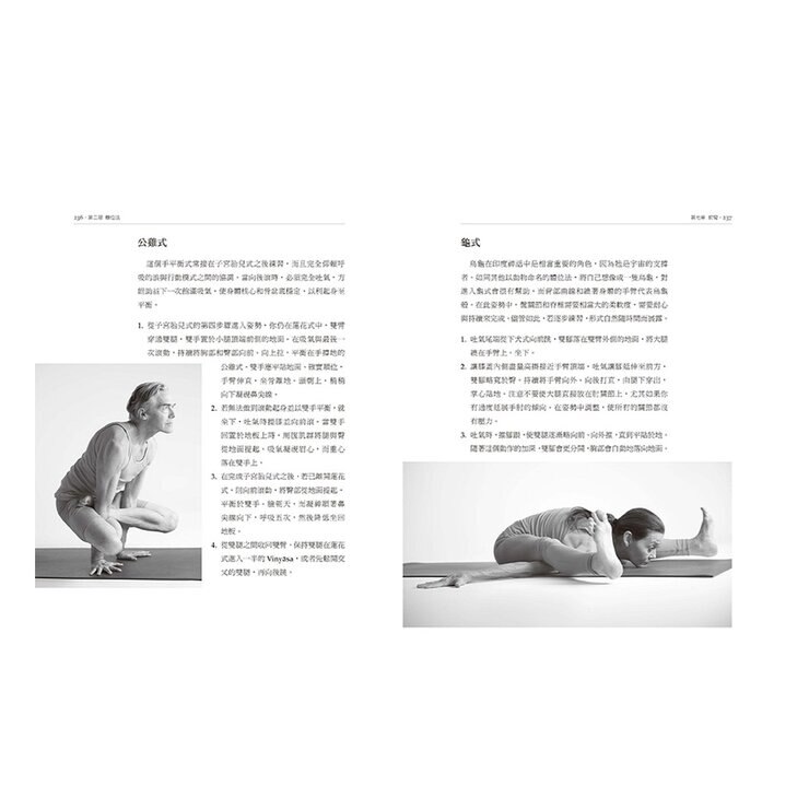 瑜伽與動禪: Vinyasa的流動藝術