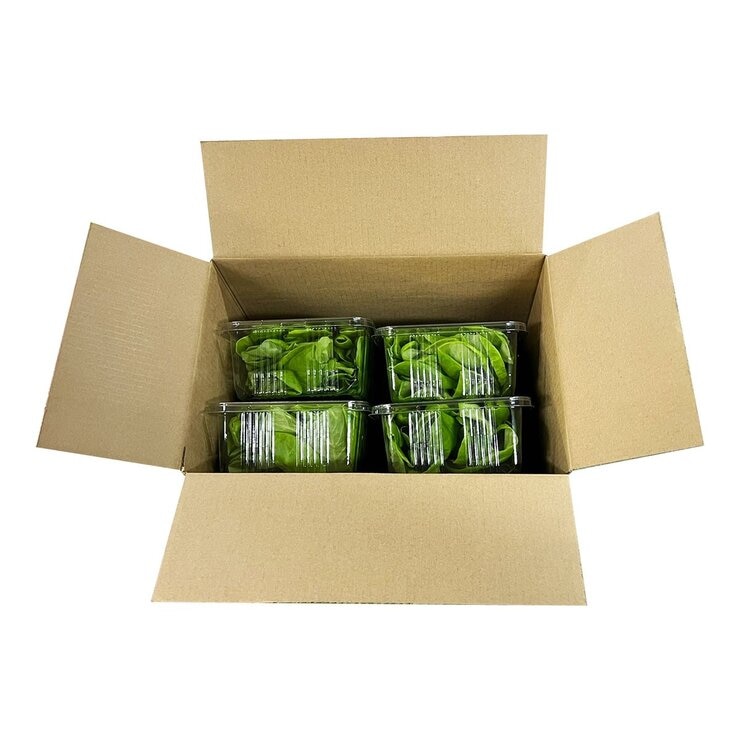 源鮮智慧農場 波士頓奶油萵苣 200公克 X 4入