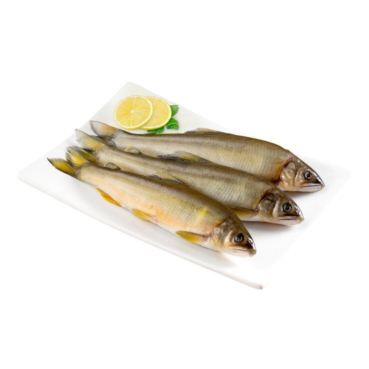 冷凍母香魚 冷凍母香魚