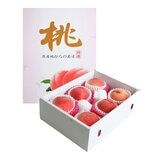 空運日本長野縣水蜜桃禮盒 1.8公斤 (6-7入)