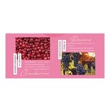 園果園味 蔓越莓乾葡萄乾隨手包 40公克 X 20包