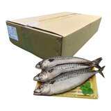 冷凍薄鹽白腹鯖魚 4公斤 冷凍薄鹽白腹鯖魚 4公斤