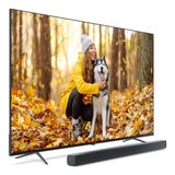 飛利浦 65吋 4K Google TV 顯示器聲霸組合 65PUH7890/96