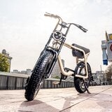 ZAU EB-500 電輔車