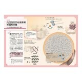 Galileo 新觀念伽利略(7-12) 套書:化學、週期表、光與色的科學、單位與定律、人體、手機腦與運動腦(共6冊) Galileo 新觀念伽利略(7-12) 套書:化學、週期表、光與色的科學、單位與定律、人體、手機腦與運動腦(共6冊)