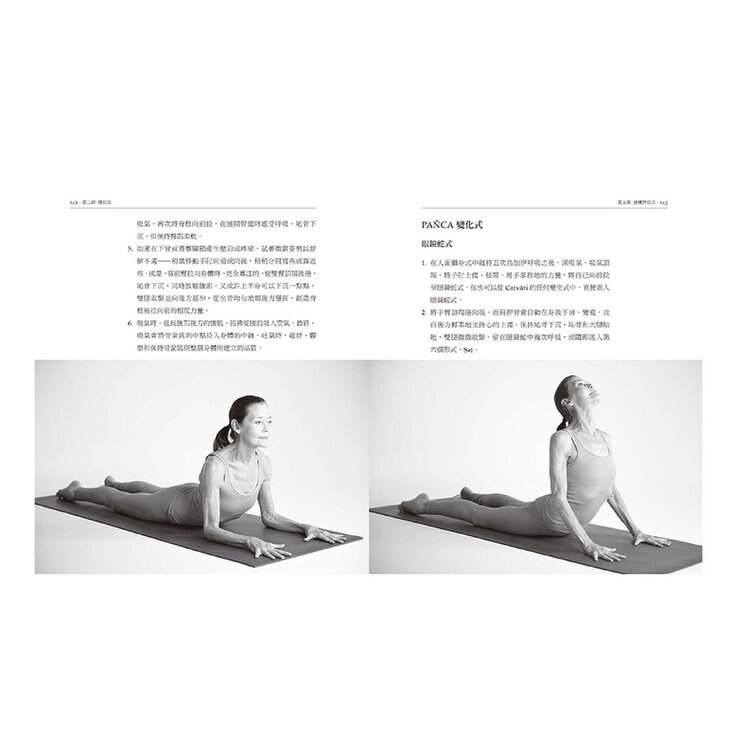 瑜伽與動禪: Vinyasa的流動藝術