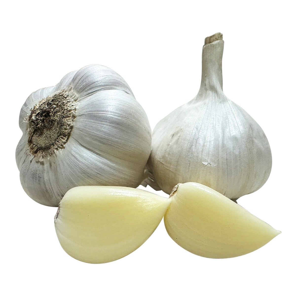 阿根廷蒜頭 900 公克