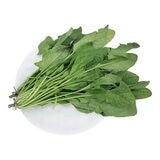 產銷履歷菠菜 600公克