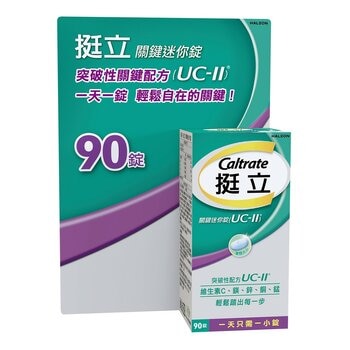 挺立 關鍵迷你錠 90錠