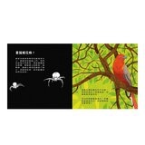 登登登！透光 Show系列(共6冊):點亮夜晚世界！+創造神奇發明！+動物的偽裝術！+神秘恐龍來囉！+照照人體 x 光+海洋生物來囉！