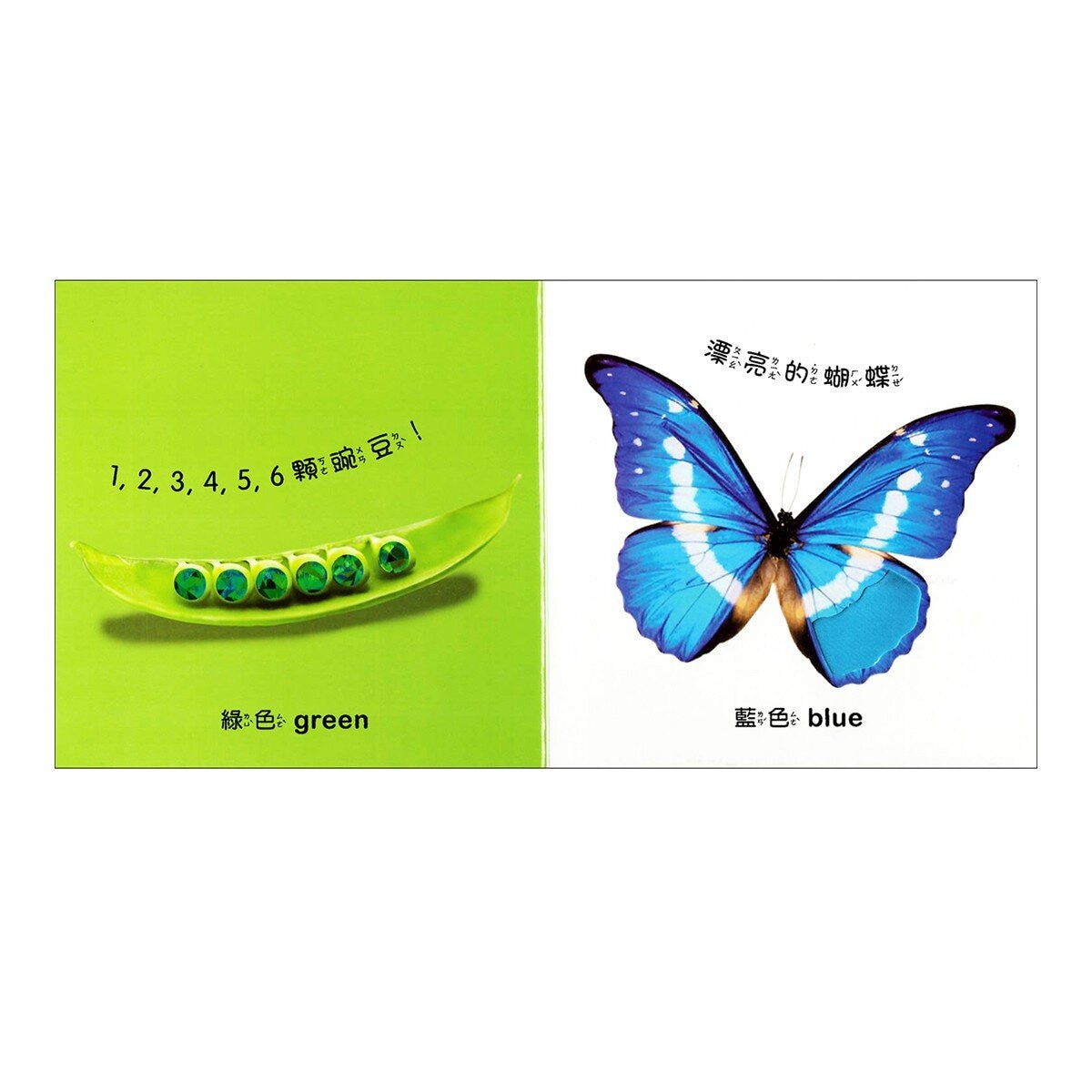 Dorling Kindersley 寶寶觸覺認知書套組（共７冊）