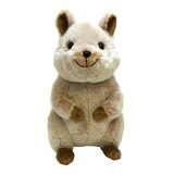 Sunlemon 動物絨毛玩偶 / 6歲以上 袋熊