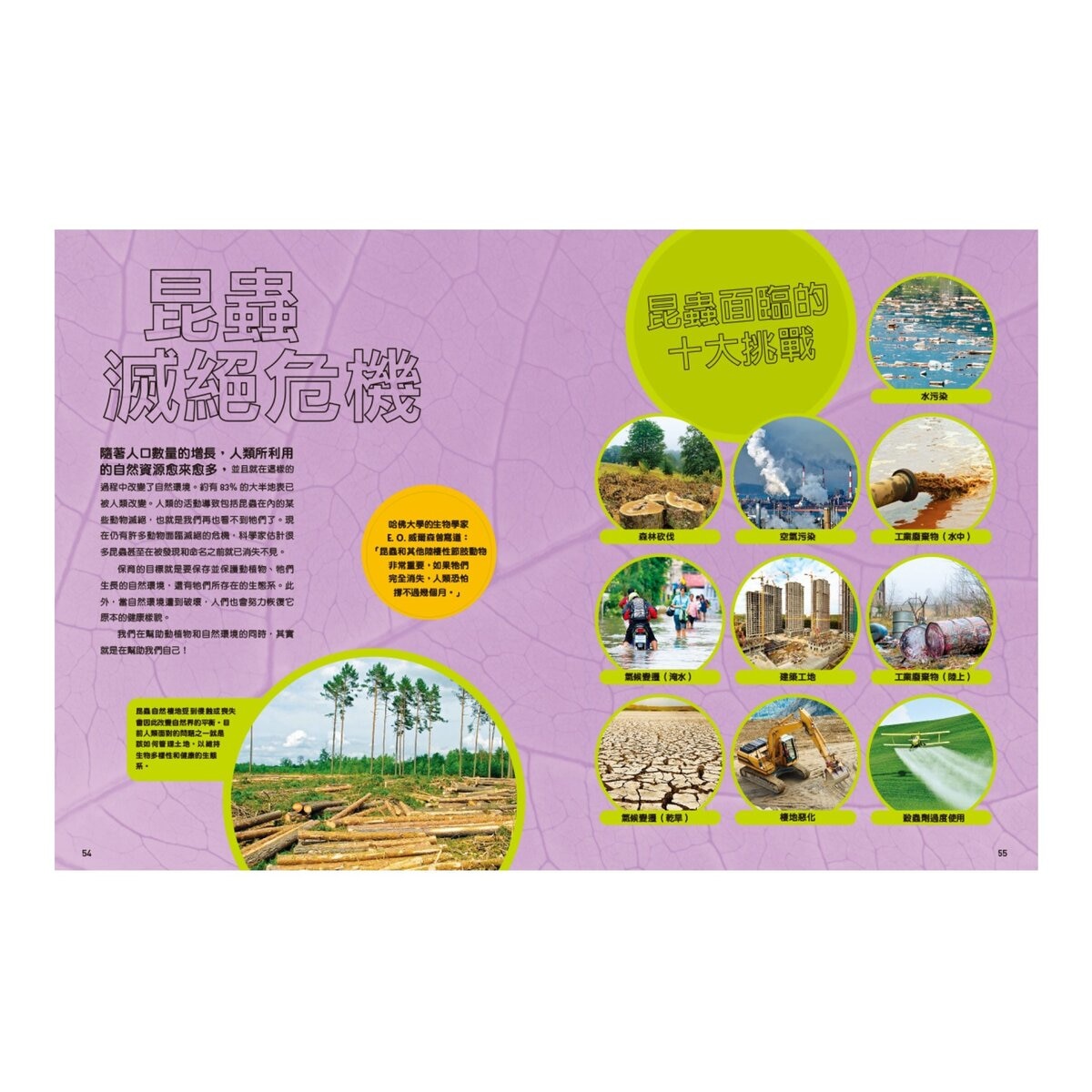 國家地理終極昆蟲百科：史上最完整的昆蟲大全 新版