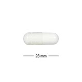 Webber Naturals 甘胺酸鎂膠囊 300粒