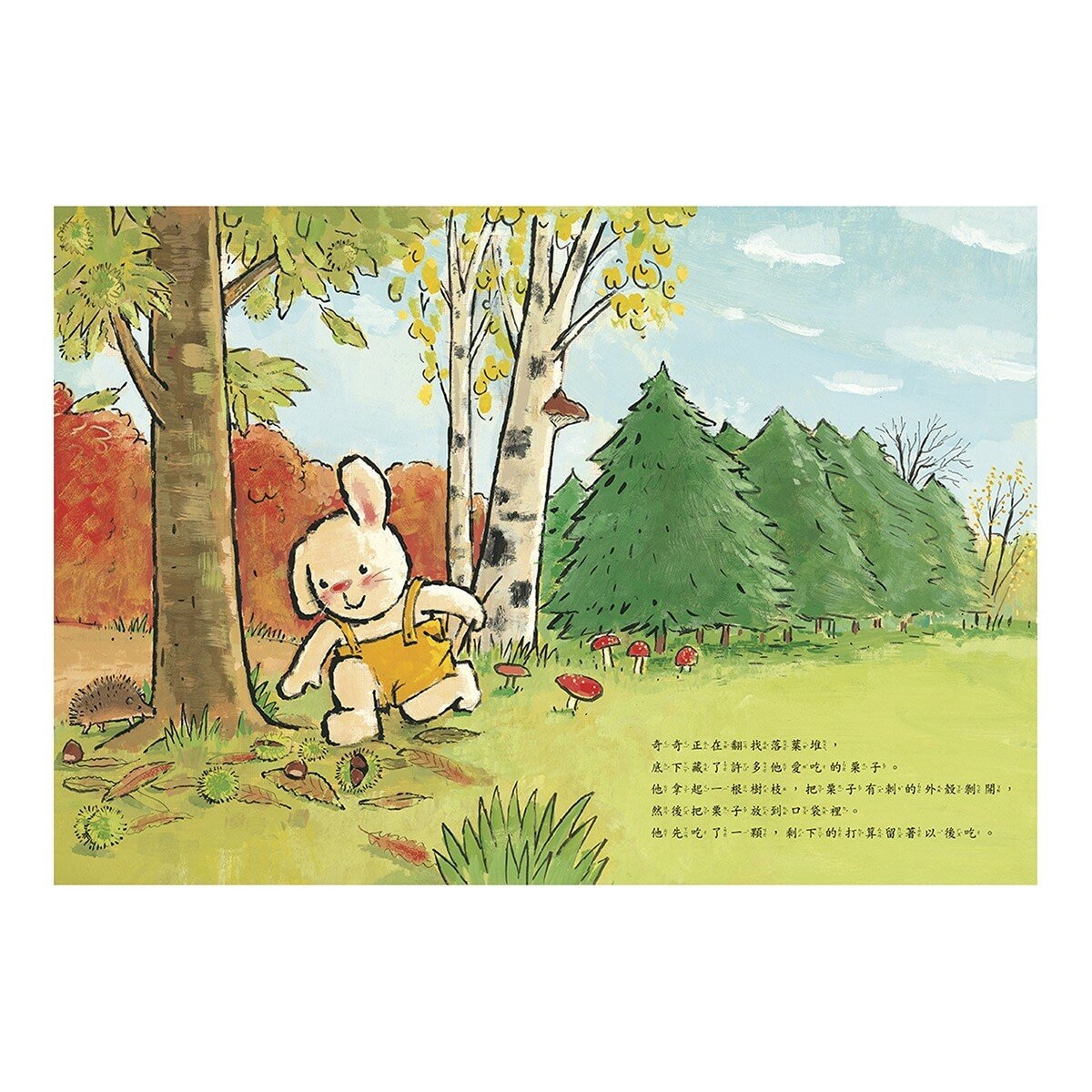 奇奇兔成長繪本 5-8(共４冊) 我學會等待＋我學會說再見＋我會表達愛＋我要當哥哥了