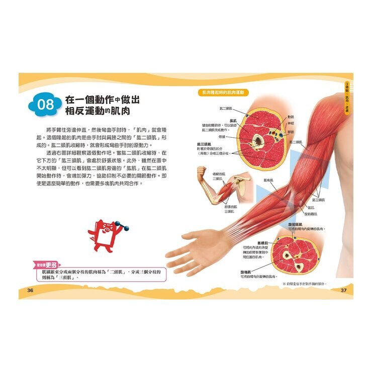 兒童伽利略：動物學校＋恐龍學校＋太陽系學校＋人體學校 (４冊)