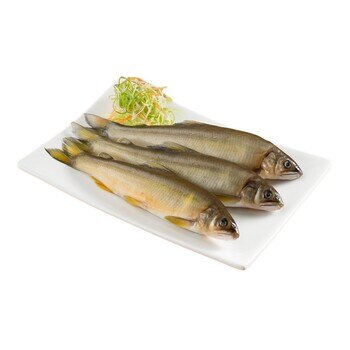 冷凍母香魚 3公斤 冷凍母香魚 3公斤