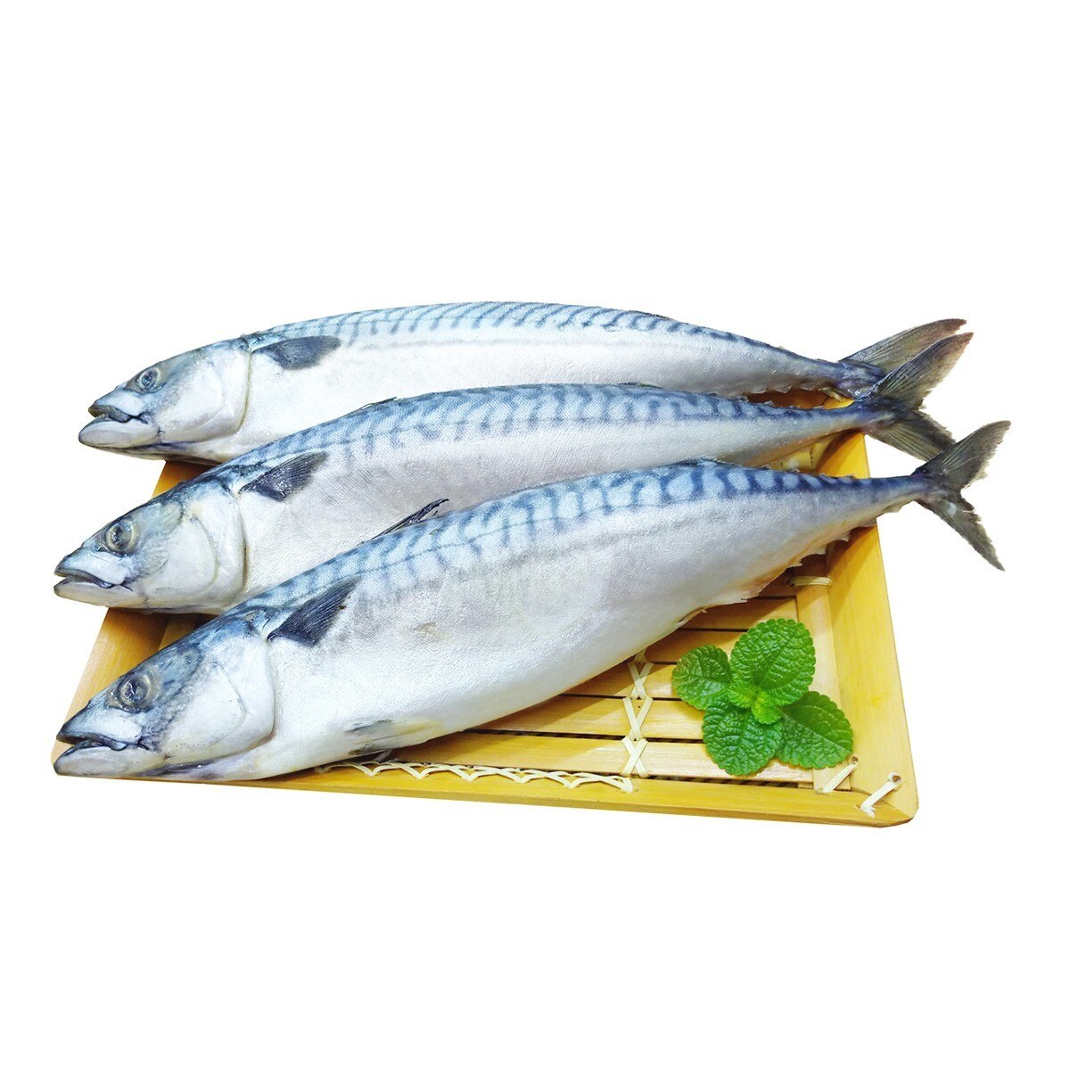 冷凍薄鹽白腹鯖魚6公斤 Costco 好市多線上購物 冷凍薄鹽白腹鯖魚6公斤 Costco 好市多線上購物