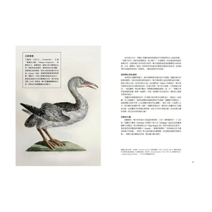 鳥類傳說：從羽翼到寓意，鳥的神話、象徵、生態奧祕與人類千年想像