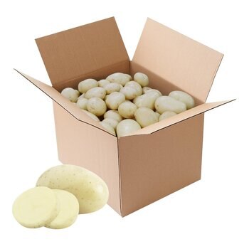 澳洲白玉馬鈴薯 10公斤