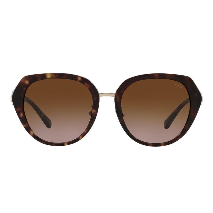 COACH 太陽眼鏡 0HC8331 512013 玳瑁色