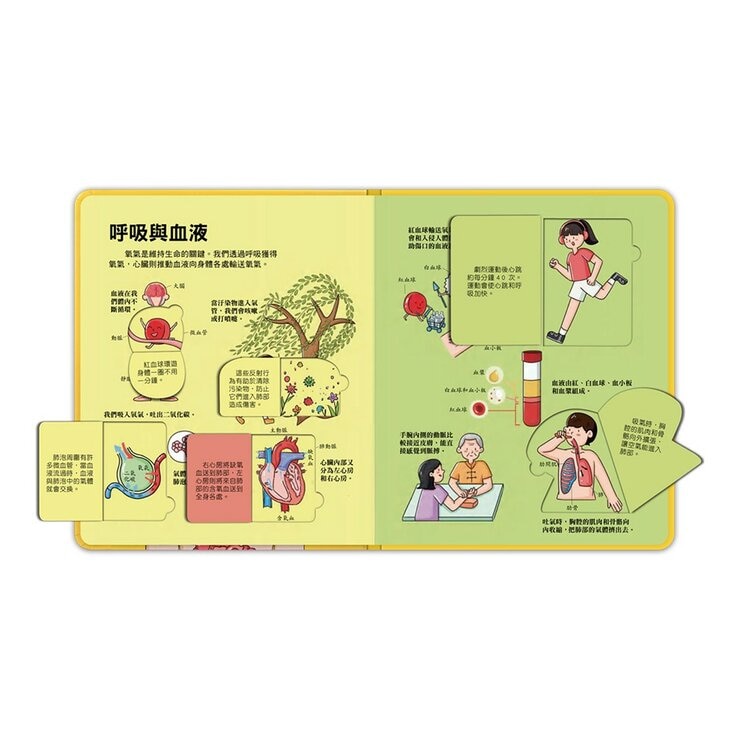 百問百答圖解翻翻書(全套10冊)+多重點讀筆