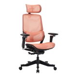 ERGOKING S5 人體工學椅 黑框橘網