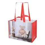 Keepcool 好市多大熊購物袋 1 入