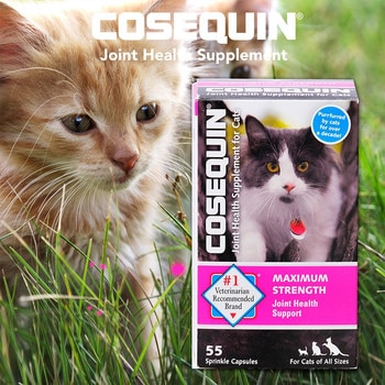 萃麥思COSEQUIN 關健適(貓用) 55粒 萃麥思COSEQUIN 關健適(貓用) 55粒
