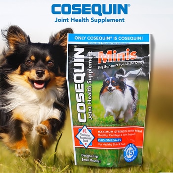 萃麥思COSEQUIN MINIS 關健適小肉塊(犬用)45粒 萃麥思COSEQUIN MINIS 關健適小肉塊(犬用)45粒