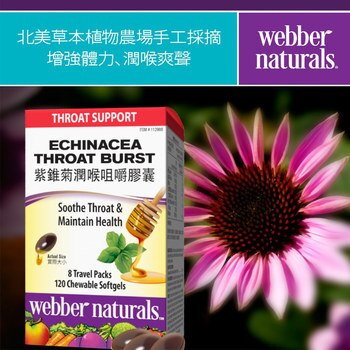 Webber Naturals 紫錐菊潤喉咀嚼膠囊 120粒 Webber Naturals 紫錐菊潤喉咀嚼膠囊 120粒