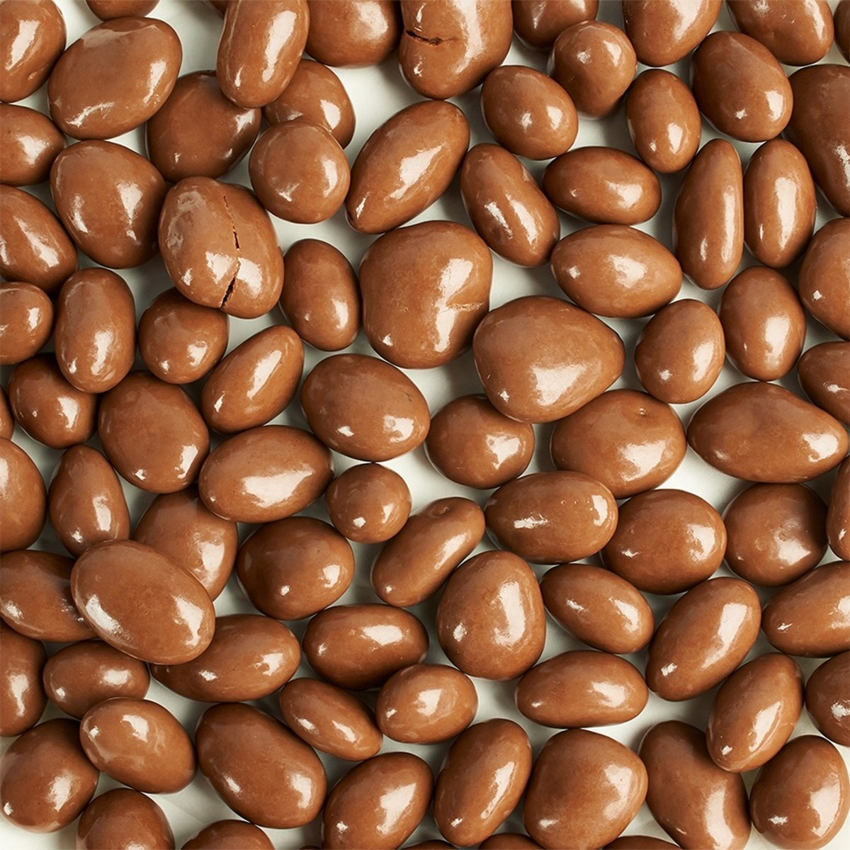 Kirkland Signature 科克蘭 葡萄乾巧克力 1.53公斤