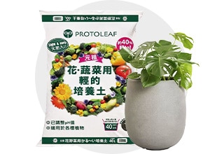 賣場-戶外、庭院、運動